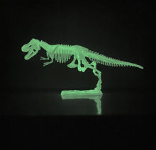 Load image into Gallery viewer, Glow In The Dark Dinosaur Skeleton