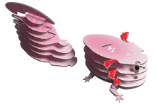 Load image into Gallery viewer, Eugy Axolotl 3D Puzzle