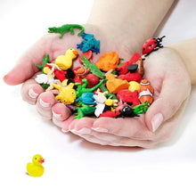 Load image into Gallery viewer, Mini Duckies