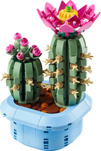 Load image into Gallery viewer, Botanicals Flowering Cactus