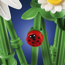 Load image into Gallery viewer, Botanicals Daisies