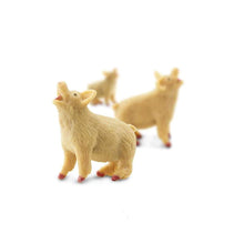 Load image into Gallery viewer, Mini Pigs