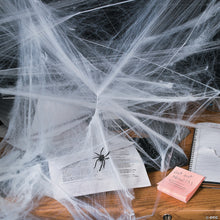 Load image into Gallery viewer, Stretchable Spider Web