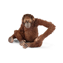 Load image into Gallery viewer, Orangutan Female