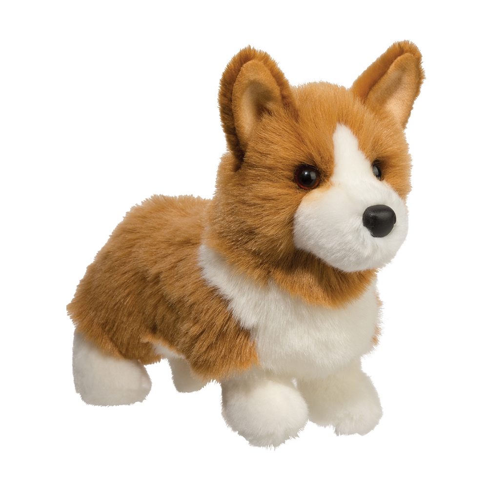 Louie the Corgi