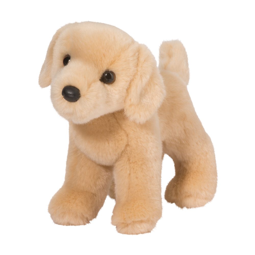 Zach the Yellow Lab
