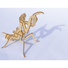 Load image into Gallery viewer, Insect Construction Kit