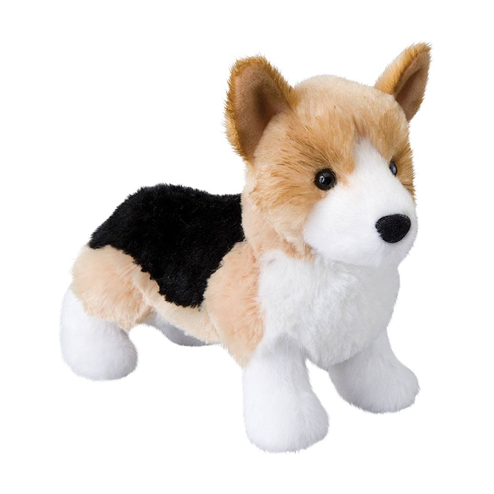 Shorty Tri Corgi