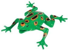 Load image into Gallery viewer, Frog Squishimals