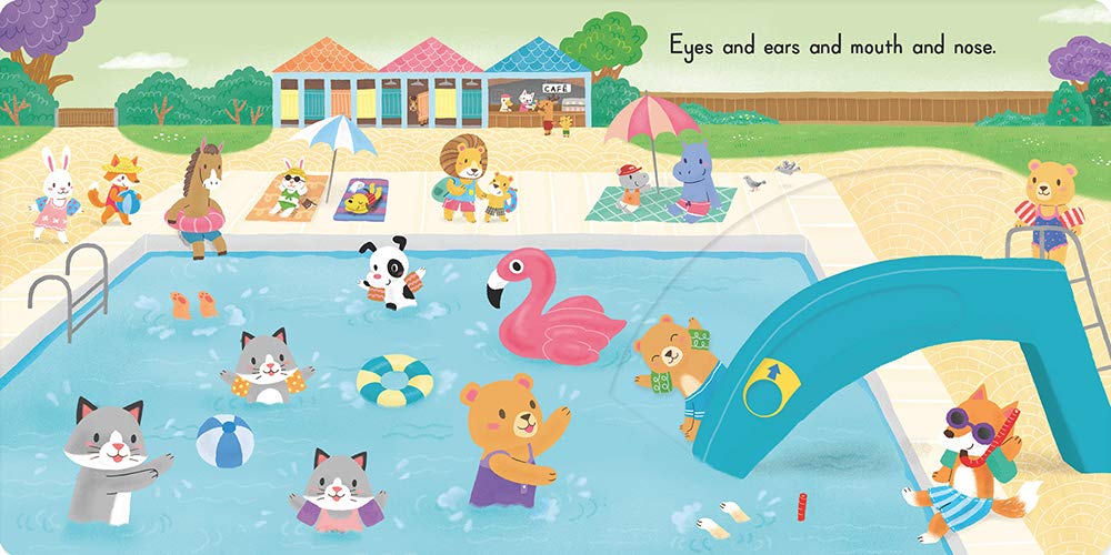 Head Shoulders Knees And Toes Board Book