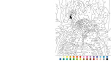 Load image into Gallery viewer, Animal Color By Numbers