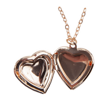 Load image into Gallery viewer, Boutique Locket Necklace