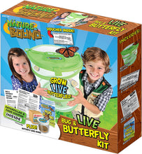 Load image into Gallery viewer, Bug &amp; Butterfly Village