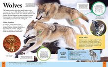 Load image into Gallery viewer, Children's Encyclopedia Of Animals
