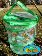 Load image into Gallery viewer, Bug &amp; Butterfly Village