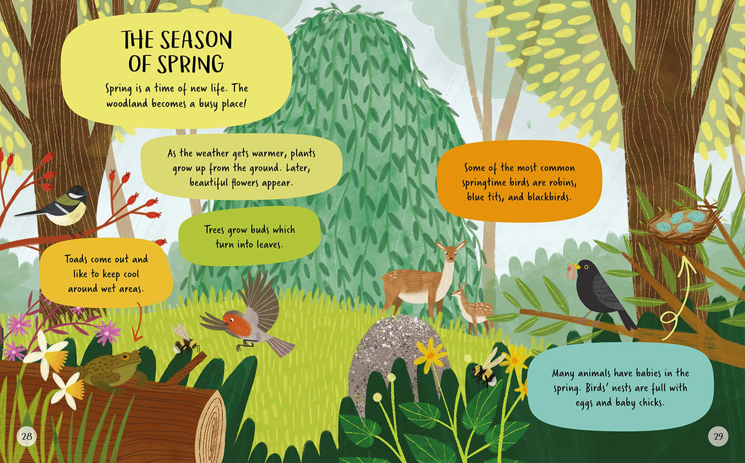 Let's Explore Woodland Creatures
