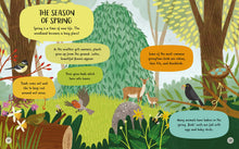 Load image into Gallery viewer, Let's Explore Woodland Creatures