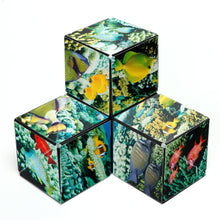 Load image into Gallery viewer, Undersea Shashibo