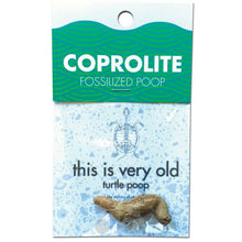 Load image into Gallery viewer, Coprolite Fossilized Poop