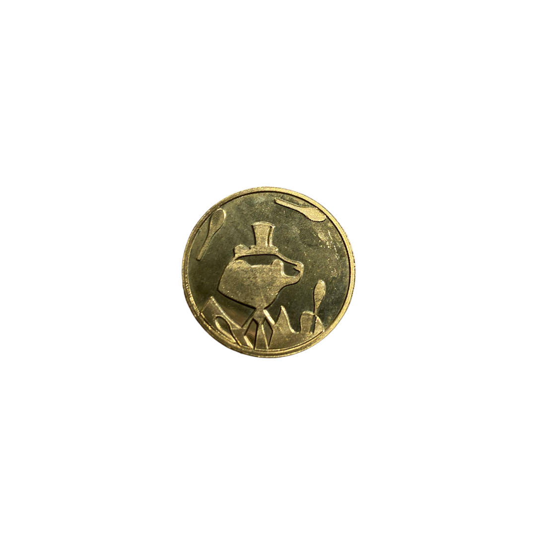Shenanigans Coins