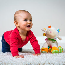 Load image into Gallery viewer, Taggies Sherbet Lamb Plush Toy