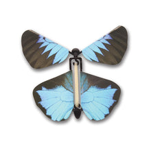 Load image into Gallery viewer, Wind Up Butterflies