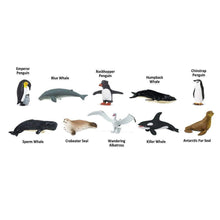 Load image into Gallery viewer, Antarctica Toob