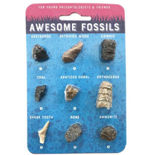 Load image into Gallery viewer, Awesome Fossil Card