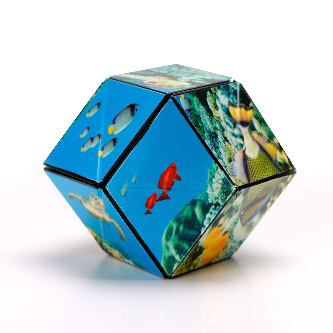 Undersea Shashibo