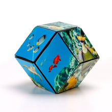Load image into Gallery viewer, Undersea Shashibo