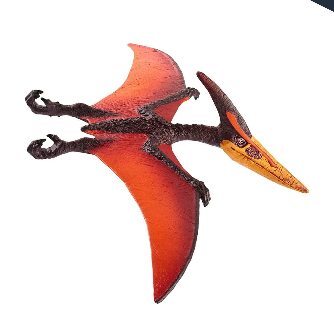 Pteranodon
