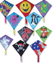 Load image into Gallery viewer, Mini Diamond Kite