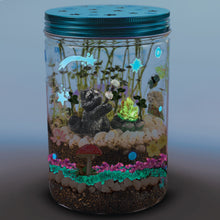 Load image into Gallery viewer, Grow N' Glow Terrarium