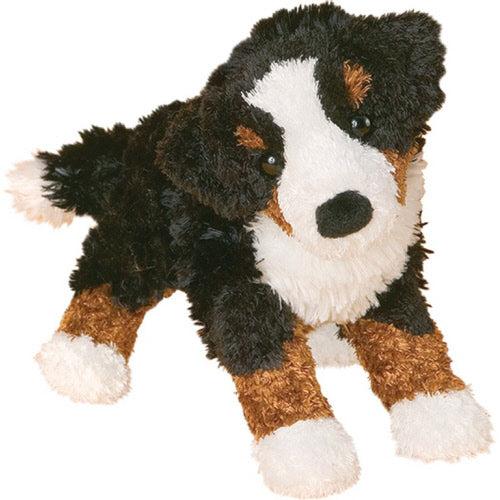 Miranda Bernese Mountain Dog